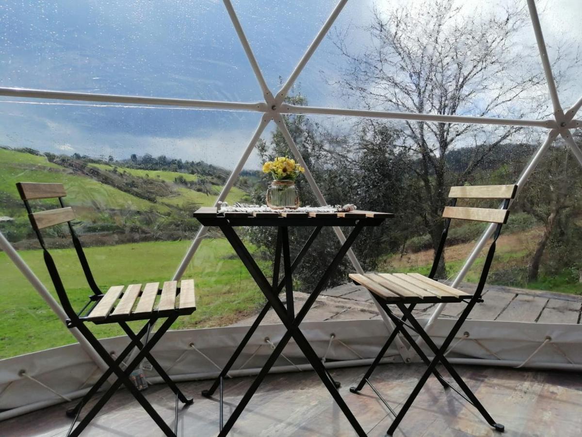Hotel Glamping Quintana Gijón Exteriér fotografie