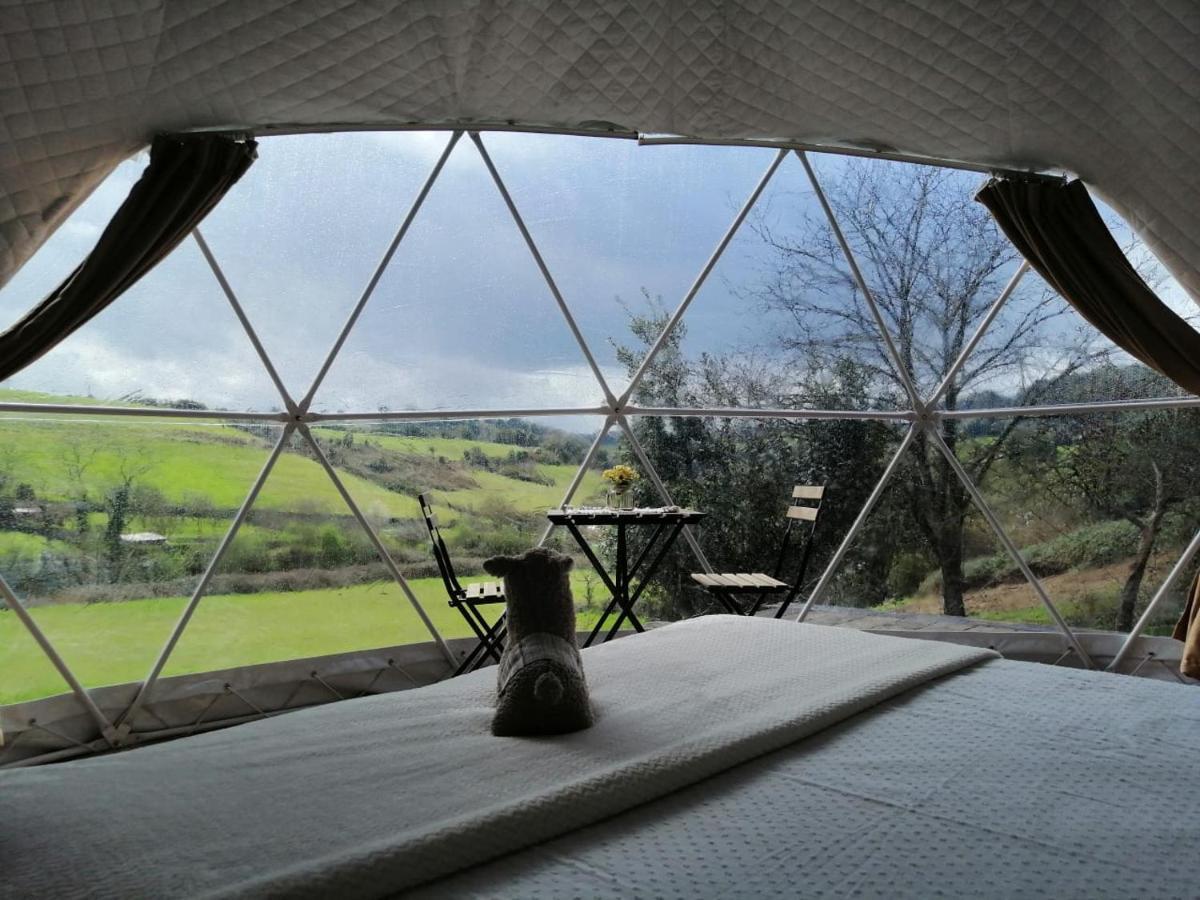 Hotel Glamping Quintana Gijón Exteriér fotografie